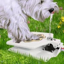 Load image into Gallery viewer, Dog Water Fountain